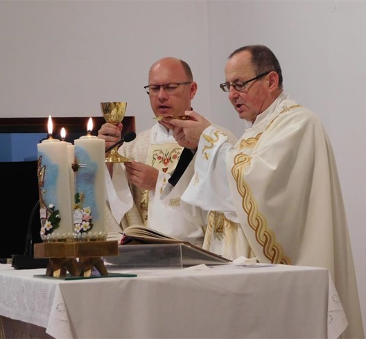 Proslavljeno proštenje Gospe Karmelske u Brezovici